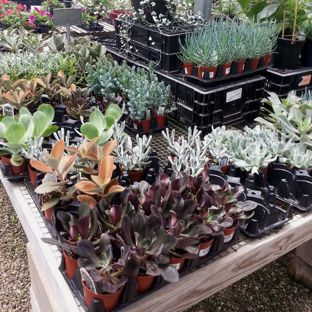 White River Nursery